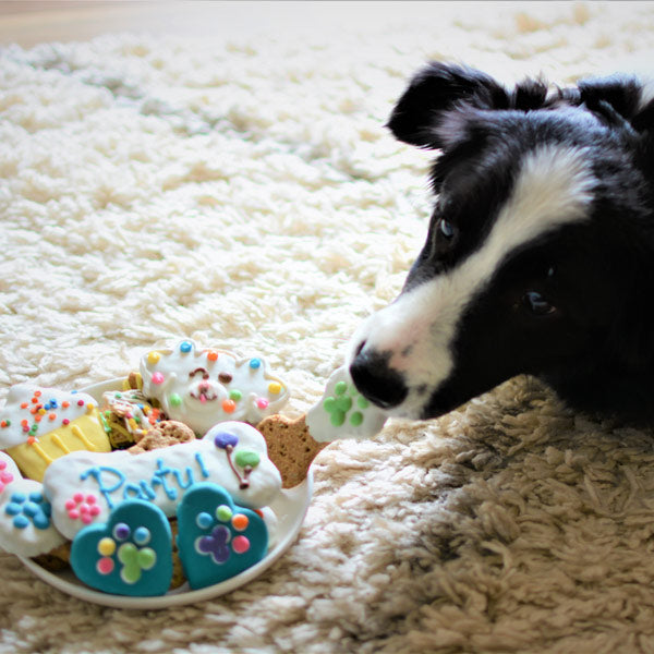 Coffret d'anniversaire pour chien