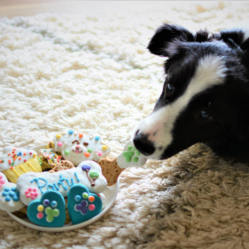 Coffret d'anniversaire pour chien