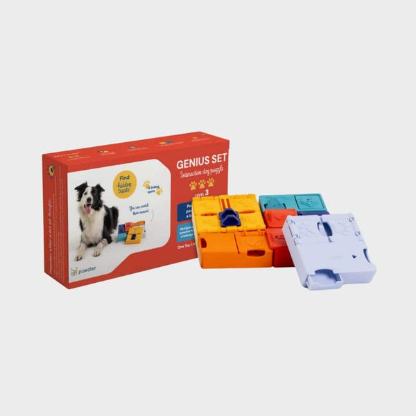 Dog Puzzle Toy - Genius Set Mini